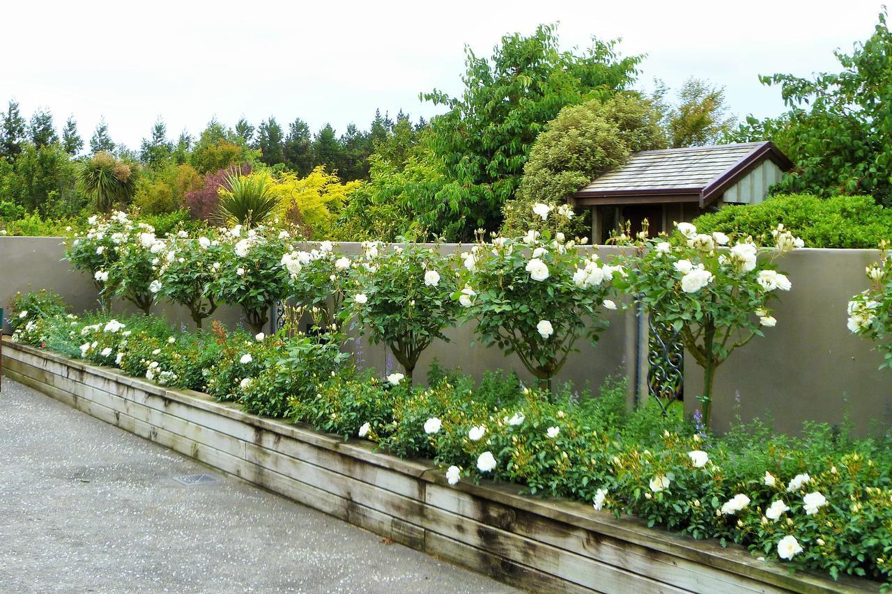 Belle Maison French Country Stay New Plymouth Exterior photo